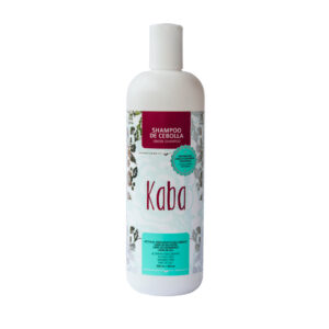 SHAMPOO DE CEBOLLA