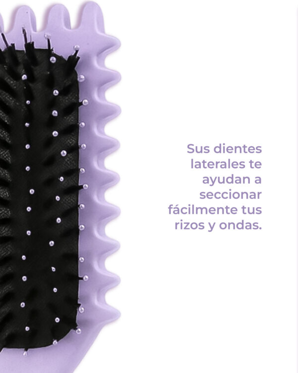 CEPILLO CURLY RIZOS PEQUEÑO - Image 4